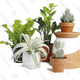 3 Monthly Kits | $90 | Horti